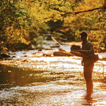 Fishing & Hunting